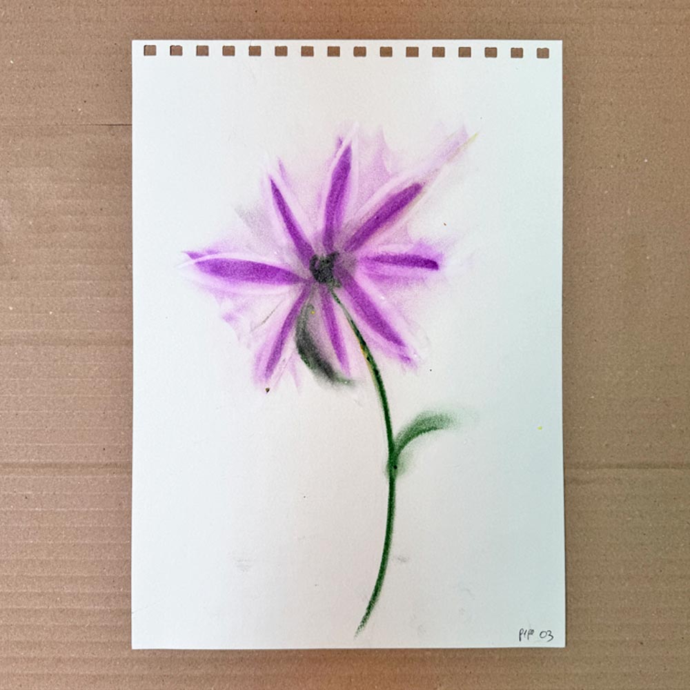 Polen morado. Dibujo original.