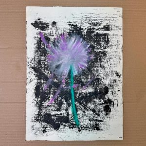 violeta